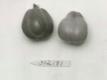 Click for 1 image(s) for this accession. FRUIT